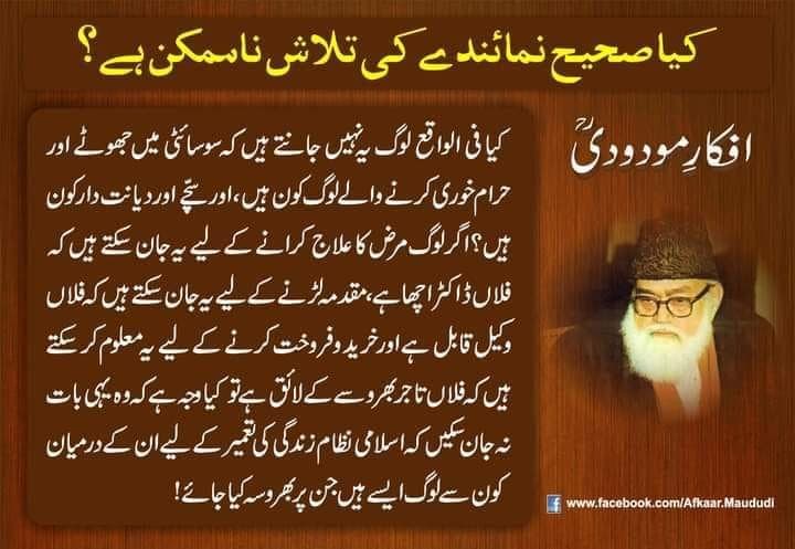 484805962 1066231868857719 192563349030466256 n